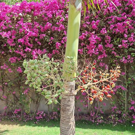 Hotel La Belle Etoile & Spa Saly Exterior foto