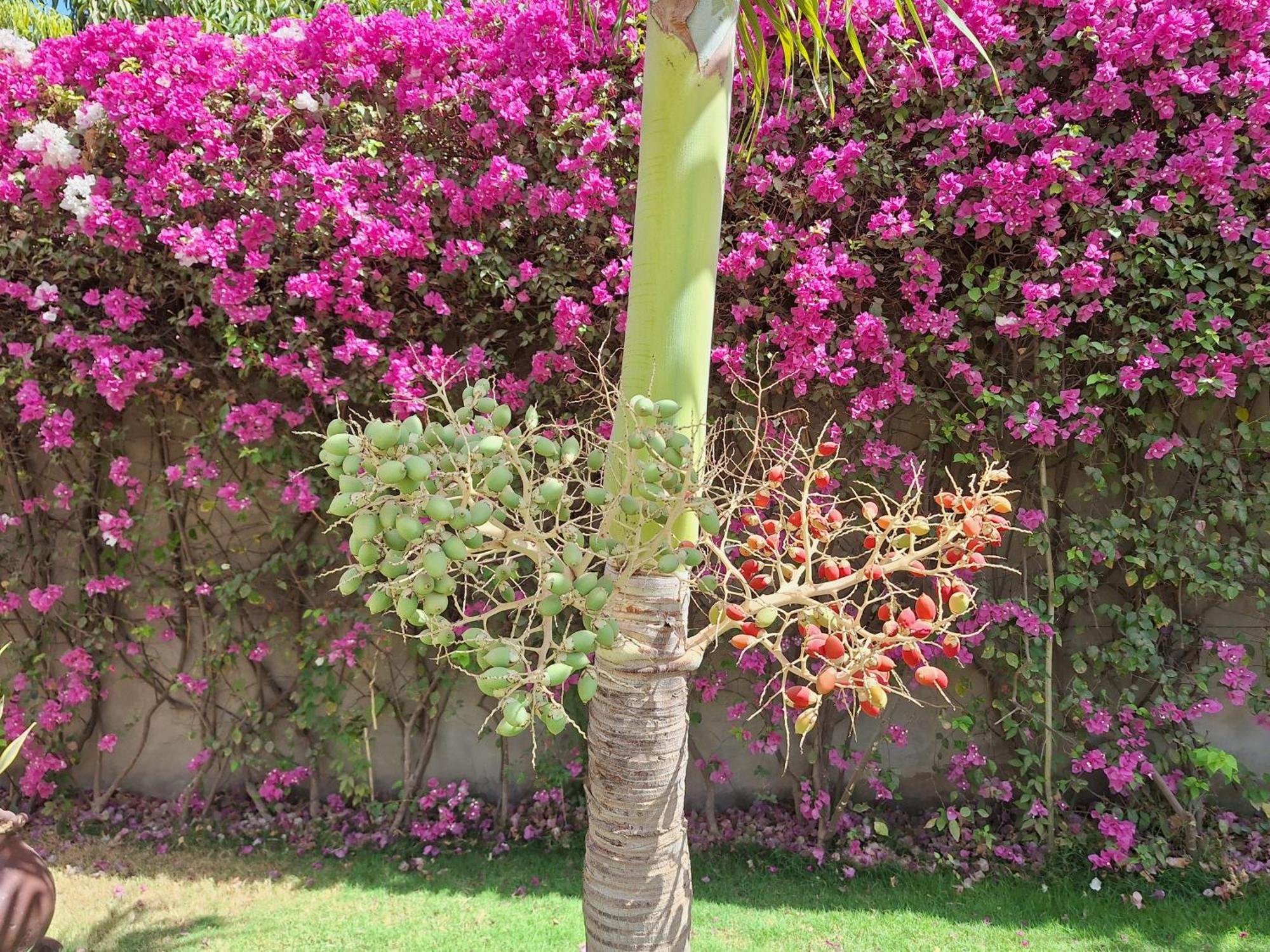 Hotel La Belle Etoile & Spa Saly Exterior foto