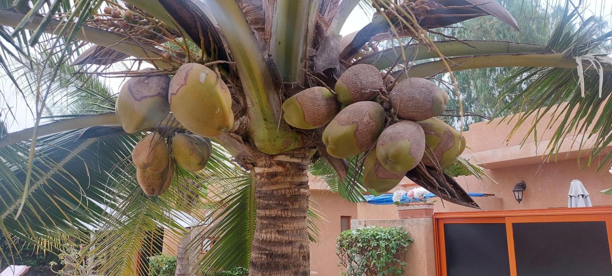 Hotel La Belle Etoile & Spa Saly Exterior foto